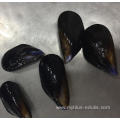 new production local catching frozen mussel meat with half shell